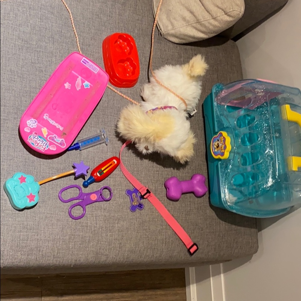 Fur Real Friends set